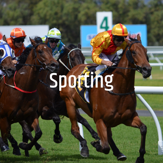 AV for sporting arenas - Audiotek